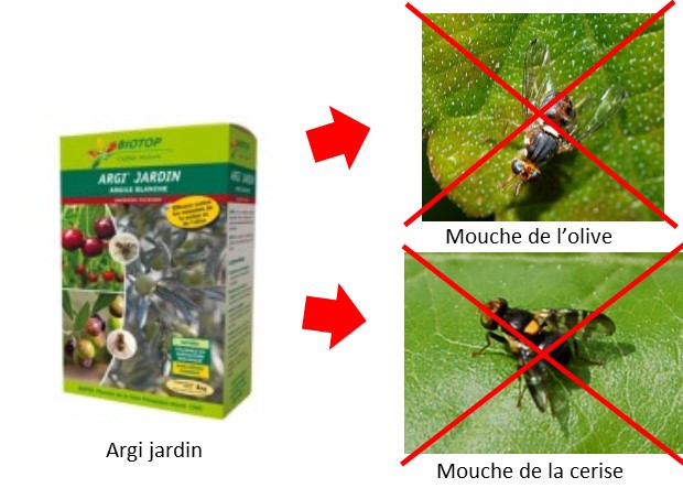 Argi jardin contre mouches